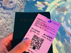 -石家庄海洋公园