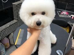 -小尾巴宠物店(万科·金域华庭店)