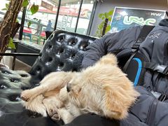 -赛卡联盟WSK卡丁车俱乐部