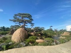 -罗红摄影艺术馆