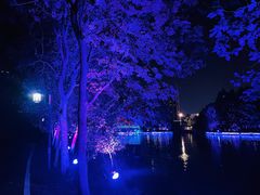 -杭州城北体育公园