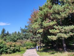 -长春世界雕塑园冰雪艺术天地