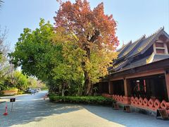 -西双版纳洲际度假酒店兰吧