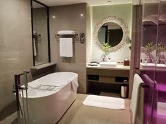 -南京禄口机场雅高铂尔曼大酒店