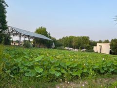 -山里人家土菜馆(茅山店)