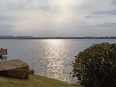 -丁香湖公园