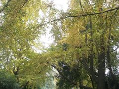 -四川大学(华西校区)