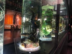 -广东中医药博物馆