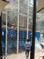 -PIPIKINGDOM皮皮王国欢乐号(欢乐海岸购物中心店)