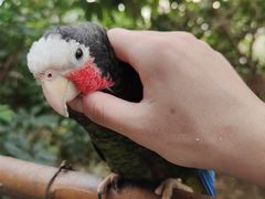 -南宫五洲植物乐园