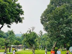 -张坝桂圆林公园