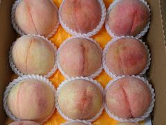 -老袁家蜜桃农场·阳山水蜜桃