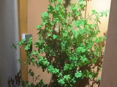 -泰·菩提树下[泰式按摩x精油SPAx肩颈头疗](新景店)