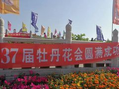-神州牡丹园