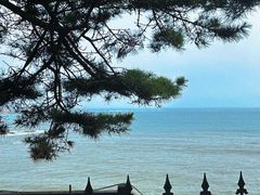 -青岛海滨风景区