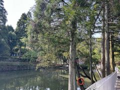 -玉苍山国家森林公园