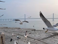 -星海广场