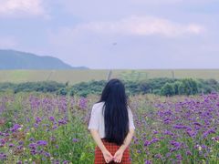-光明小镇欢乐田园