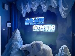 -海合安武汉极地海洋公园