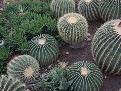 -国家植物园