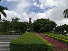 -红花山公园