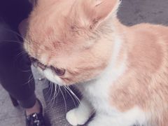 -星巴克(深圳五洲星苑店)