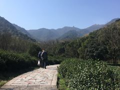 -北仑森林植物园