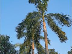 -广州市白云山风景名胜区