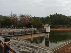 -凤岗南门山森林公园