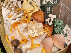 -大龙燚·旷野鲜火锅(广州首店)