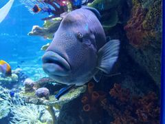-欢乐海岸海洋奇梦馆