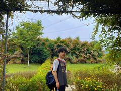 -紫颐香薰山谷景区