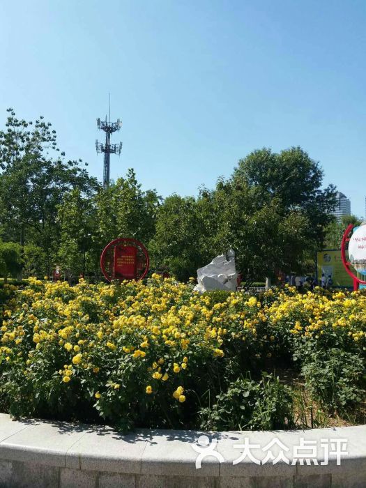 南开公园-图片-天津周边游-大众点评网