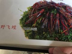 -陆地游轮吉林神农温泉