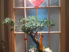 -静颐茶馆·素食(龙华店)