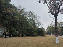 -富乐山