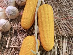 -老阿爸江浙土菜(奥体中心店)