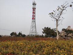 -羊亭河湿地公园