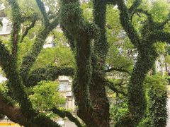 -ALBERGUE 1601 婆仔屋葡国餐厅