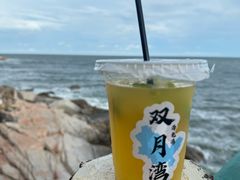 -广东惠东海龟国家级自然保护区