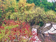 -乌山风景区