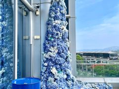 -厦门海港英迪格酒店(中山路店)