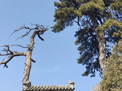 -妙峰山风景名胜区