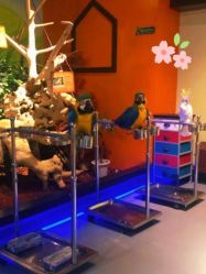 -未来动物城动物主题公园(大悦城店)