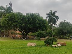 -三水森林公园
