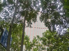 -南京维景国际大酒店(南京博物院店)