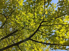 -武汉紫薇都市田园