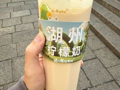 -猫的魔法密林(衣裳街店)