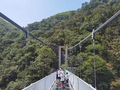 -藏龙百瀑风景区