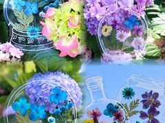 -上海滨江森林公园